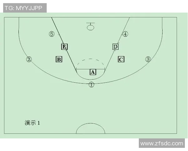 广州排球队快攻战术解析与实战应用研究